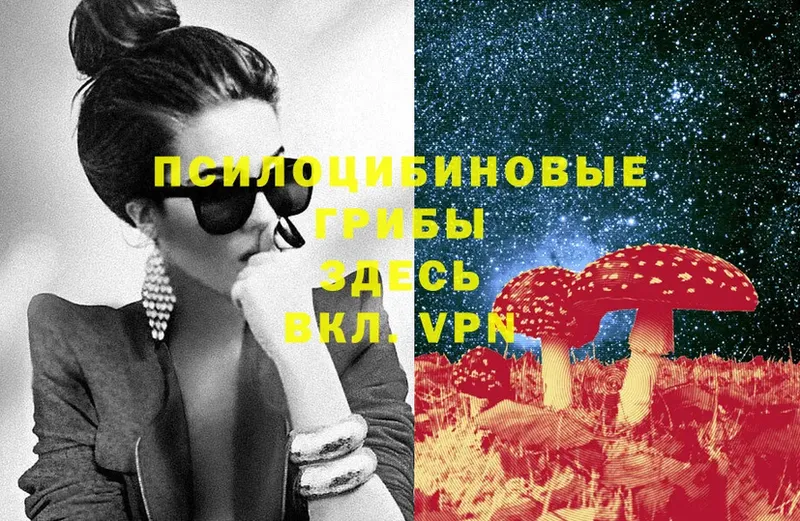 Псилоцибиновые грибы MAGIC MUSHROOMS  наркота  Балахна 